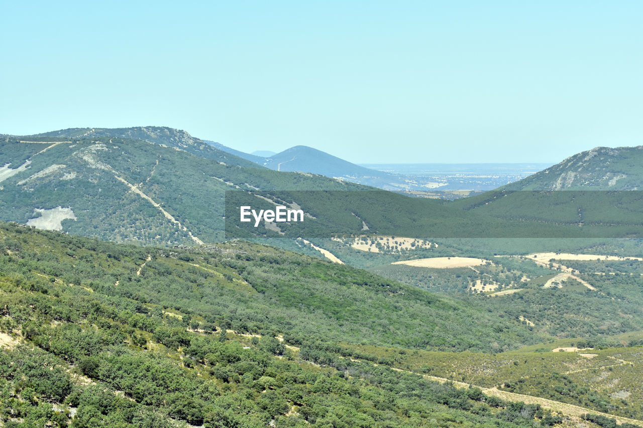 SCENIC VIEW OF LAND AGAINST CLEAR SKY