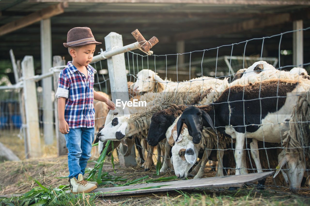 FULL LENGTH OF BOY STANDING IN FARM AT CAMERA