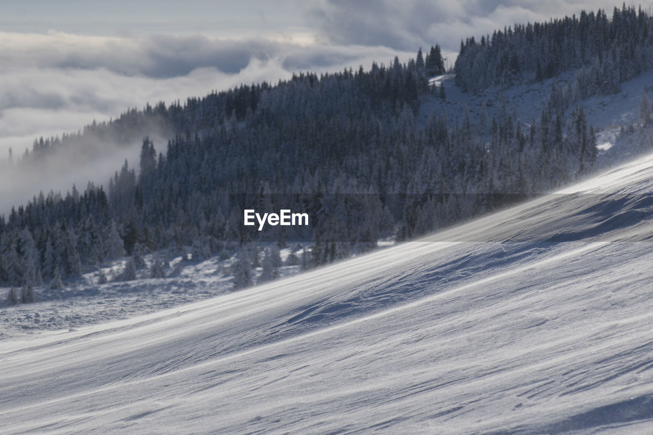 SCENIC VIEW OF SNOW COVERED LANDSCAPE