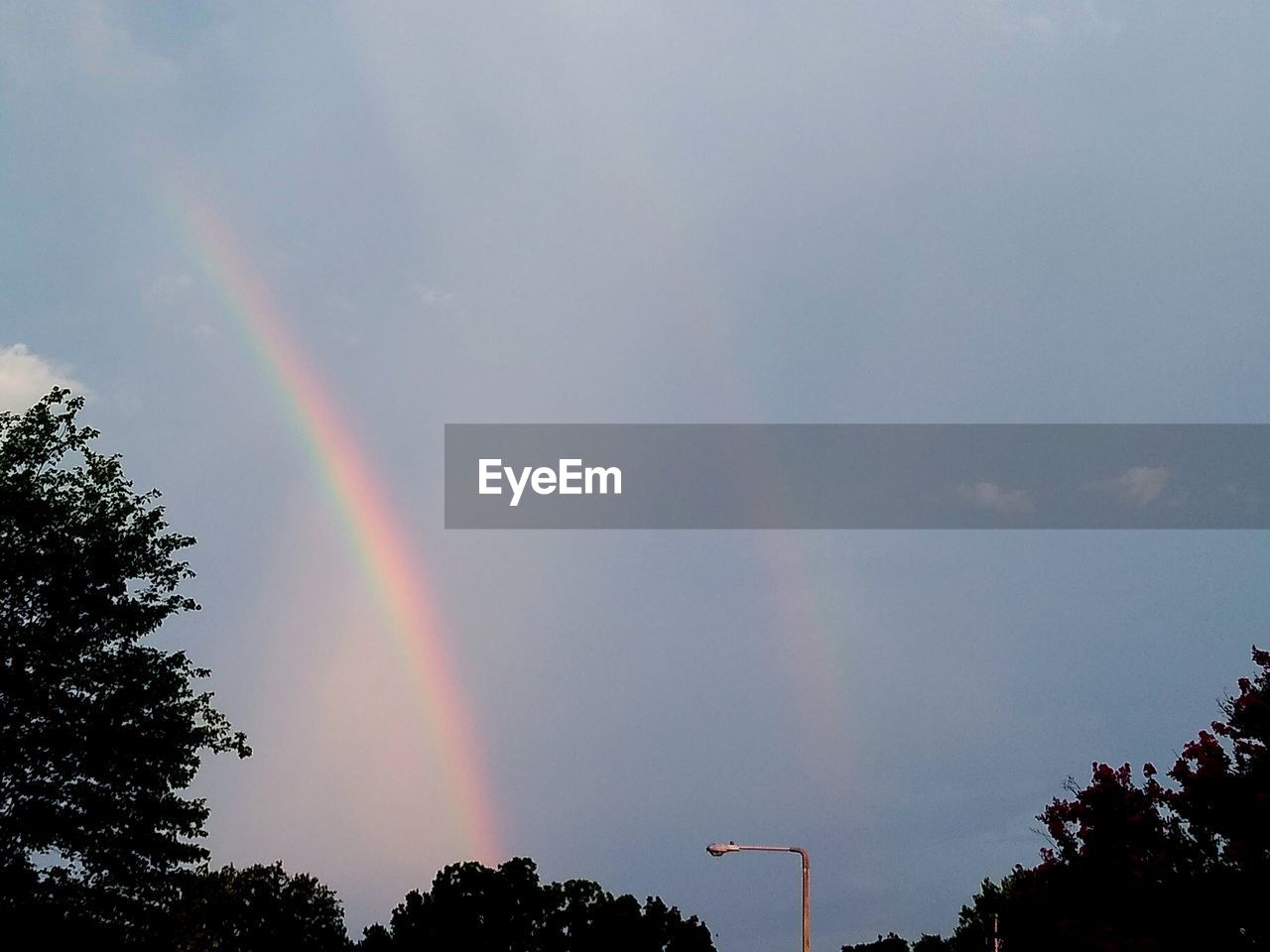 LOW ANGLE VIEW OF RAINBOW OVER TREES