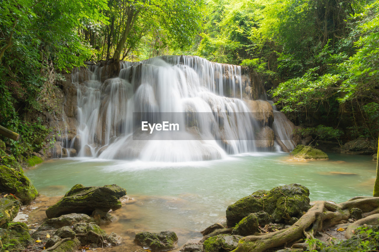 waterfall, beauty in nature, water, tree, scenics - nature, body of water, plant, environment, forest, nature, land, watercourse, stream, motion, rainforest, rock, water feature, river, travel destinations, landscape, tropical climate, long exposure, social issues, flowing, environmental conservation, travel, flowing water, jungle, tourism, outdoors, water resources, no people, non-urban scene, idyllic, autumn, trip, holiday, vacation, foliage, green, lush foliage, woodland, tropical tree, natural environment, fog