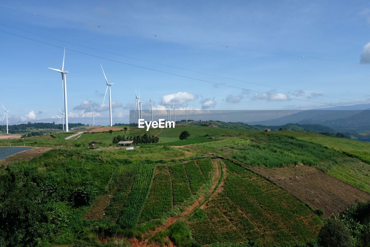 Windmills on landscape against blue sky during sunny day