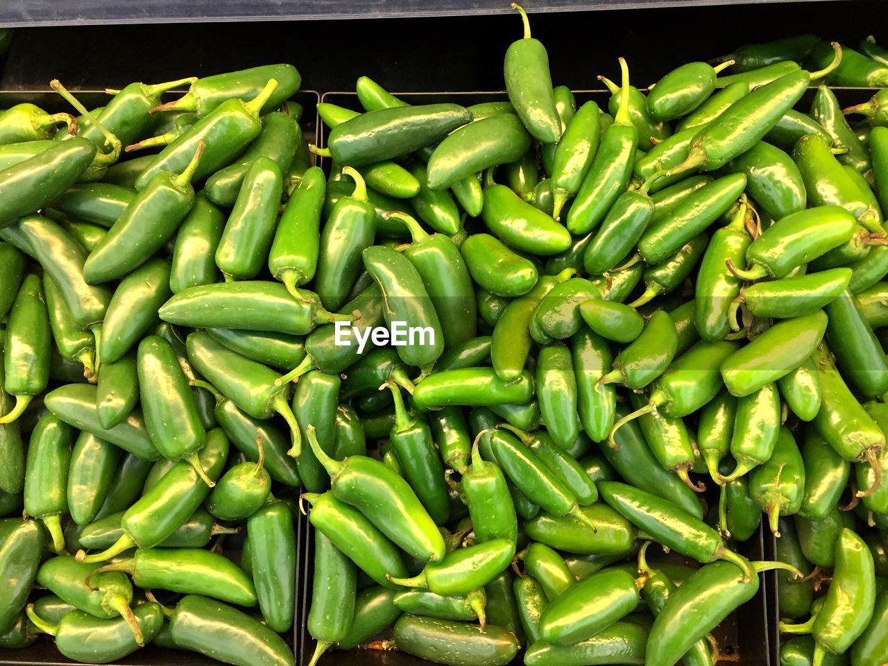 CLOSE-UP OF VEGETABLES IN MARKET