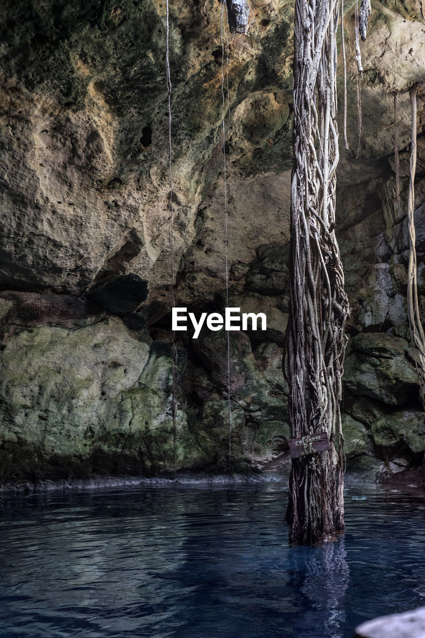 Scenic view of rock formation and roots in a cenote