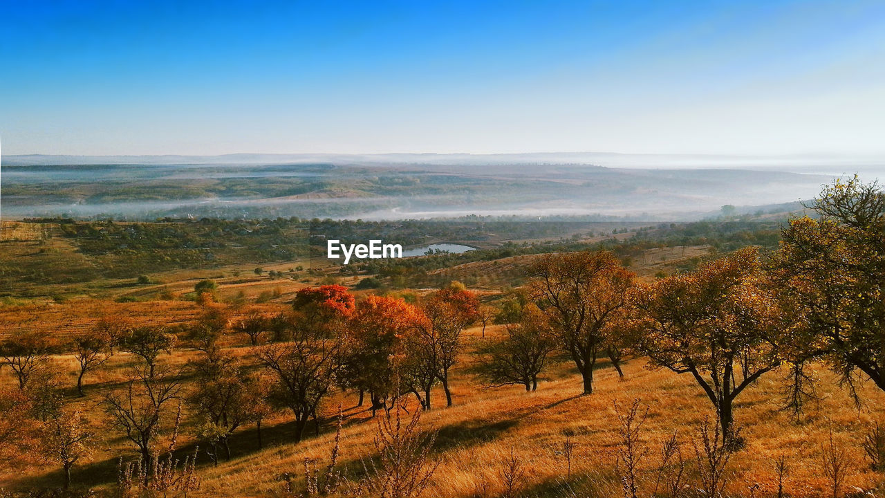 Scenic view of field against clear blue sky