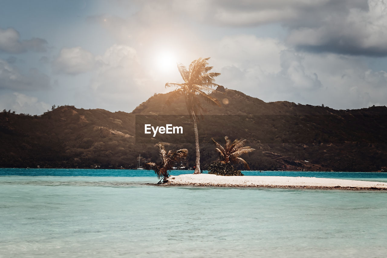 Island view in bora bora - palm tree and white sand - mountains in the background