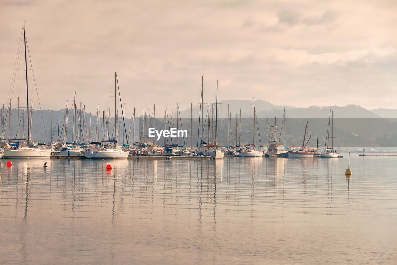 SAILBOATS IN MARINA AT HARBOR