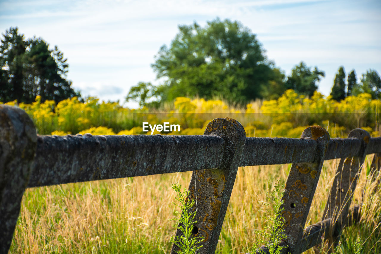 CLOSE-UP OF RUSTY FENCE ON FIELD AGAINST TREES