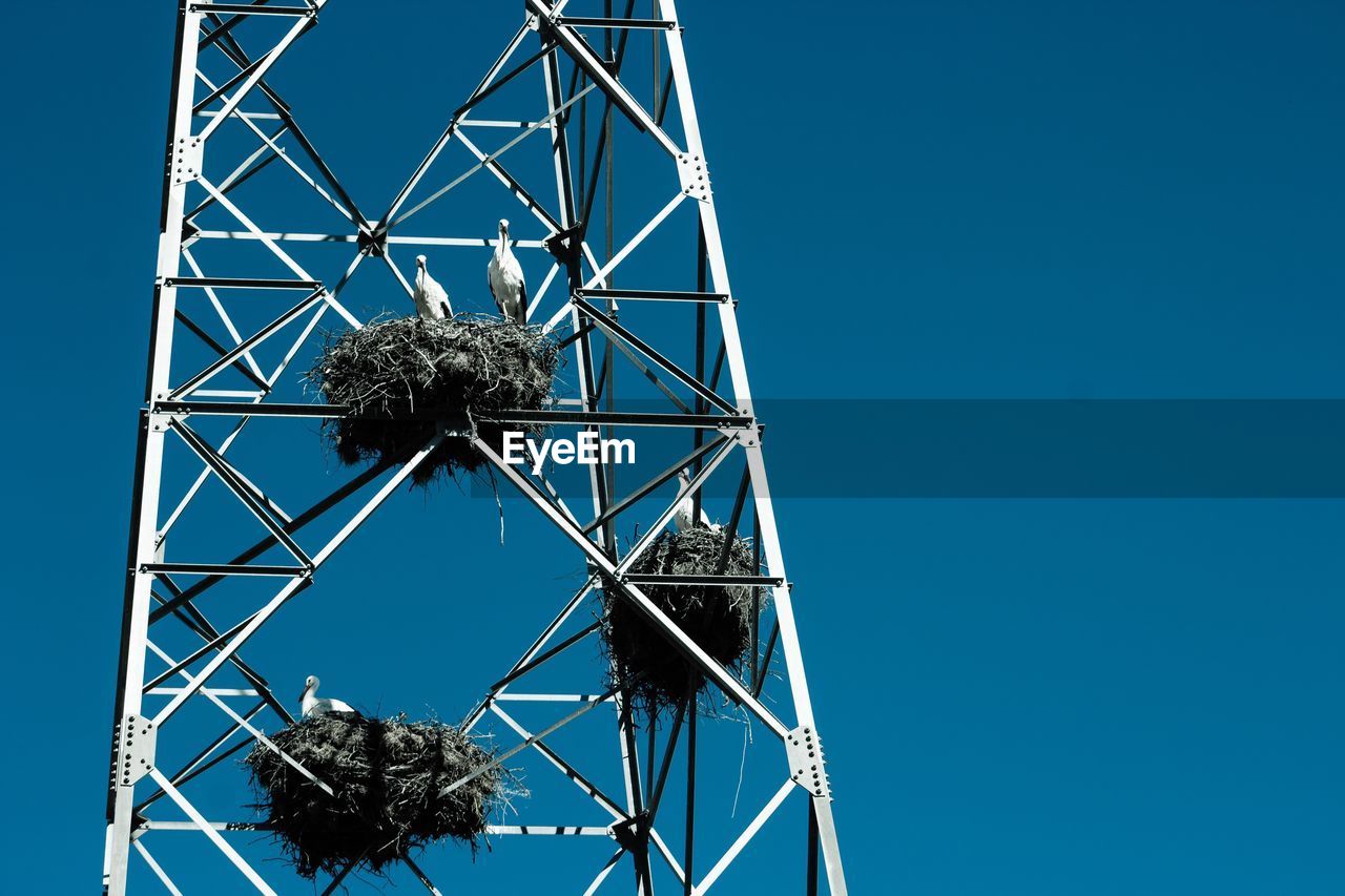 Low angle view of metallic structure against blue sky with storks