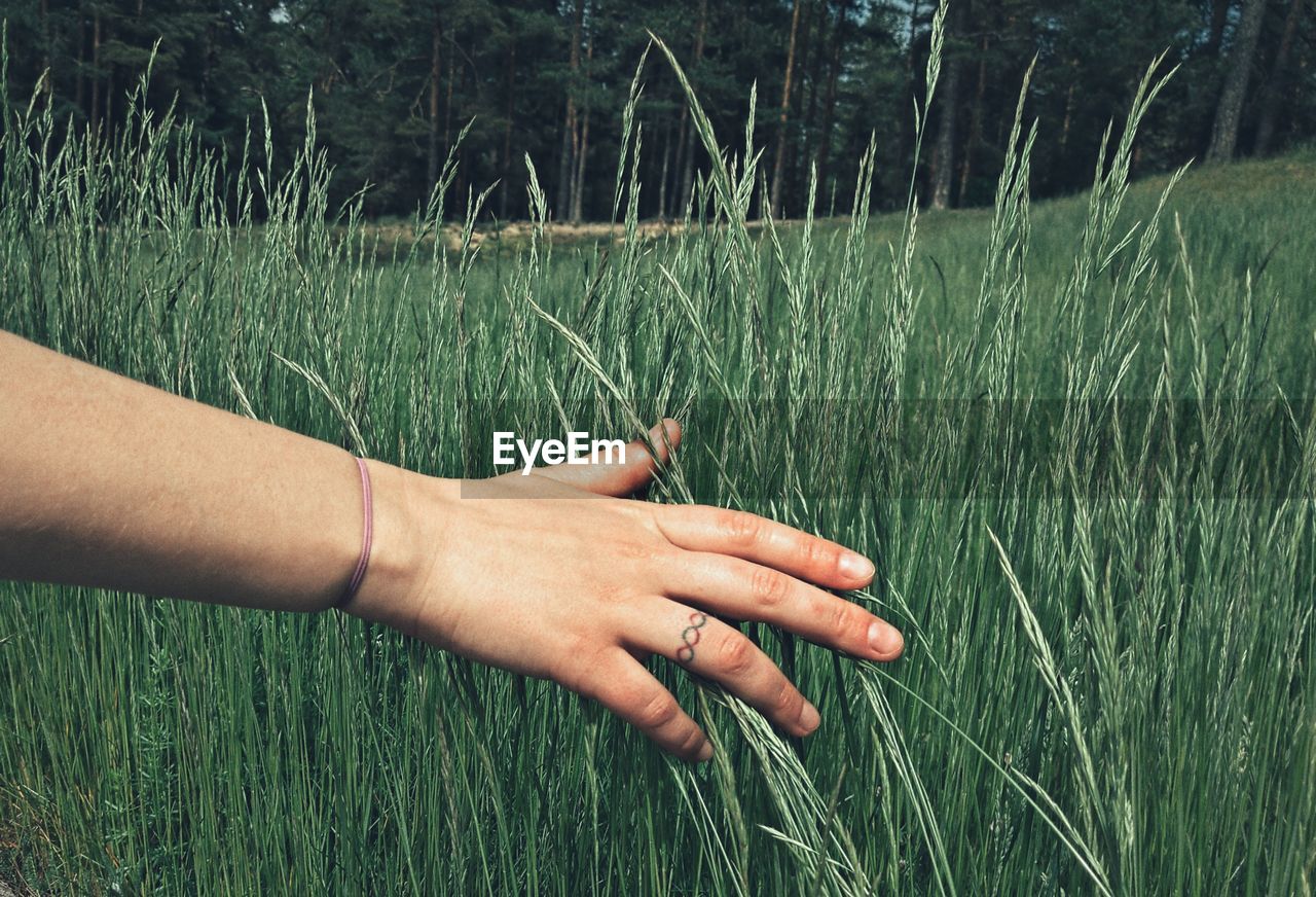 Midsection of man touching grass on field