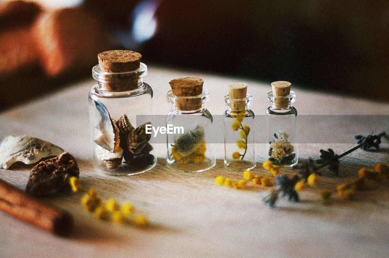 Close-up of plants in bottles on table