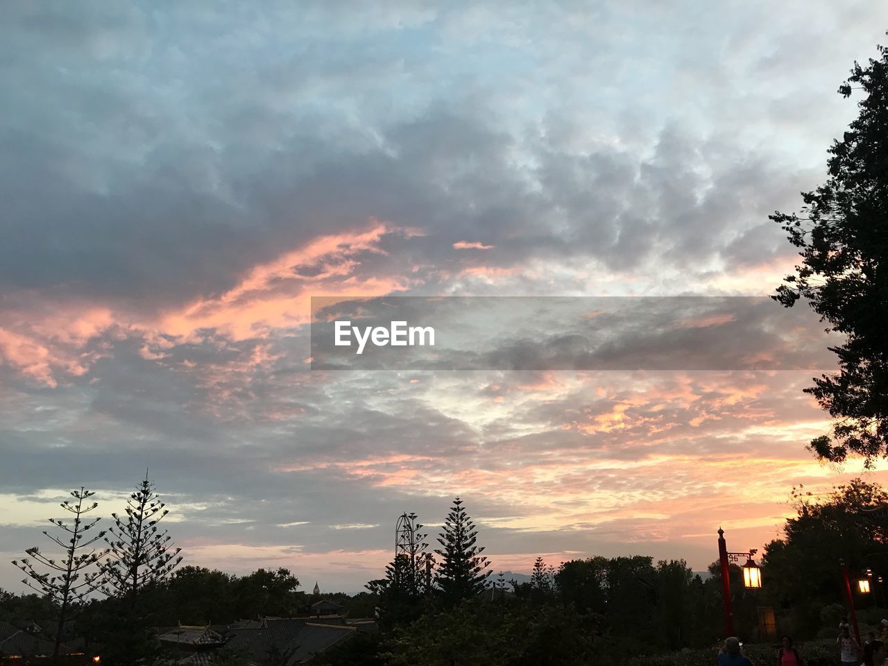 LOW ANGLE VIEW OF SILHOUETTE TREES AGAINST SKY AT SUNSET