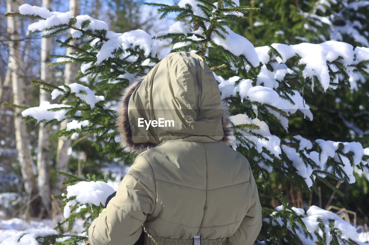 Child walks in winter forest