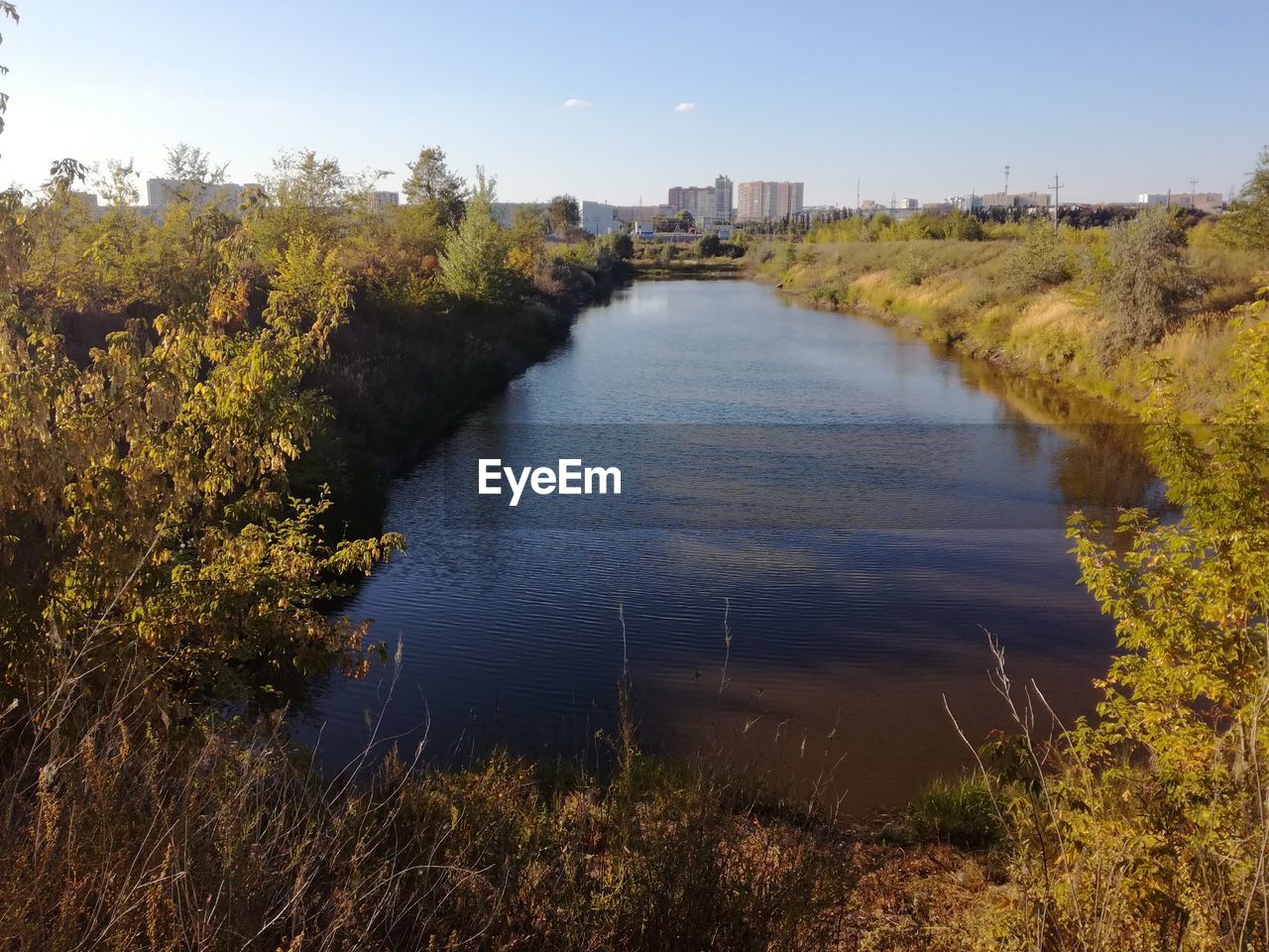 RIVER AMIDST PLANTS AGAINST SKY