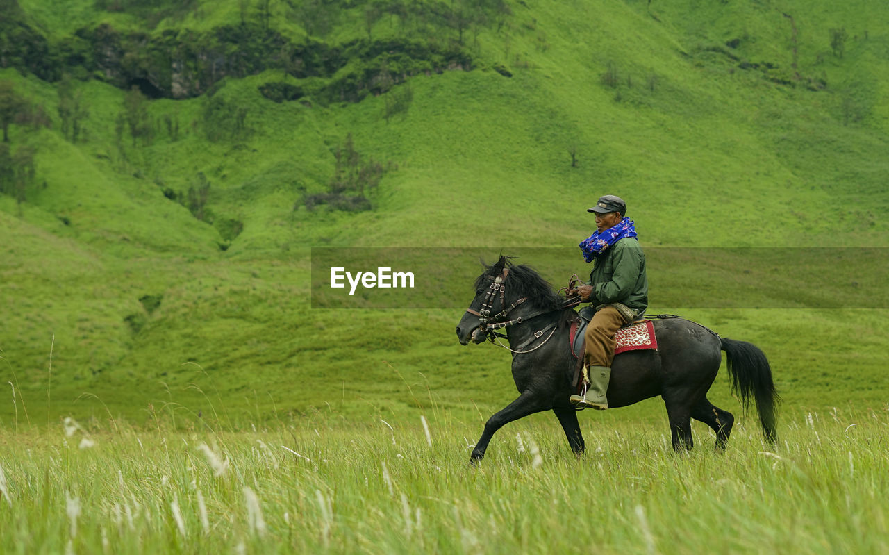 Horse riding horses in a field savanna bromo montain