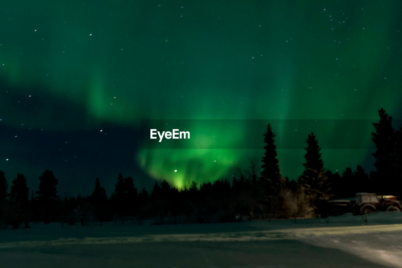 Scenic view of trees against sky at night during winter