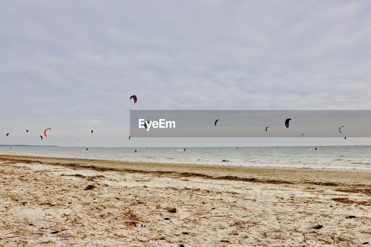 FLOCK OF BIRDS FLYING OVER BEACH AGAINST SKY