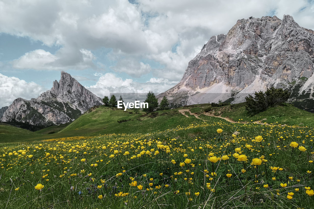 Scenic view of grassy field against cloudy sky