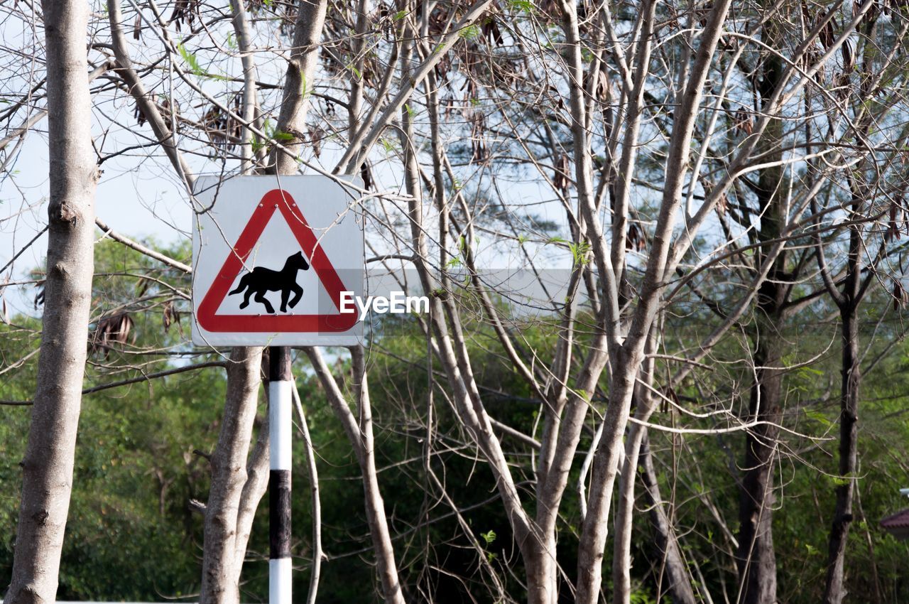 LOW ANGLE VIEW OF ROAD SIGN AGAINST TREES