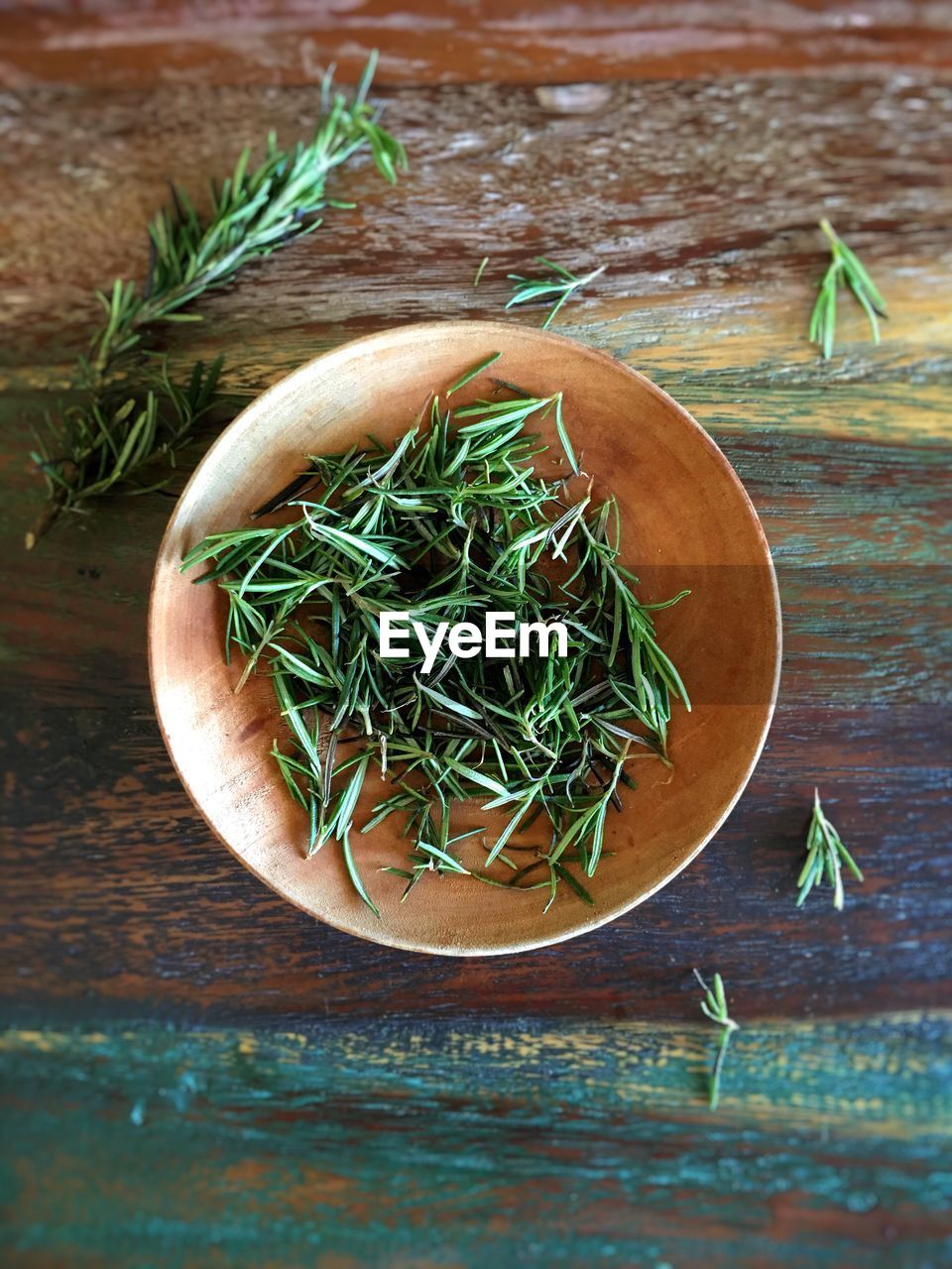 Close-up of rosemary