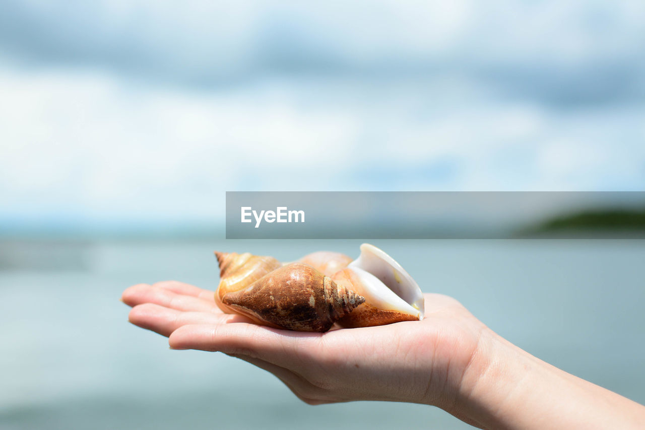 CLOSE-UP OF HAND HOLDING ICE CREAM CONE