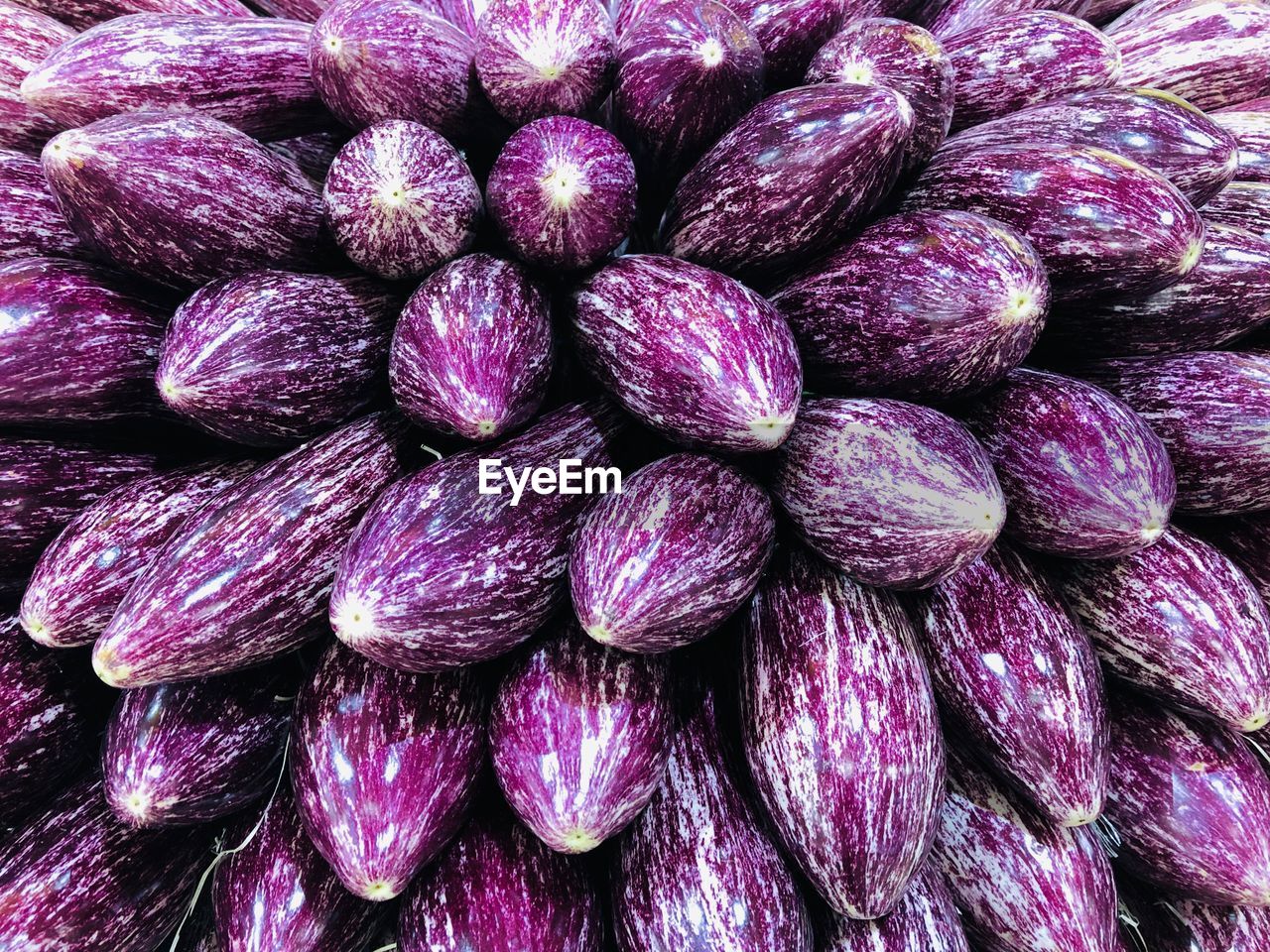 FULL FRAME SHOT OF PURPLE BERRIES