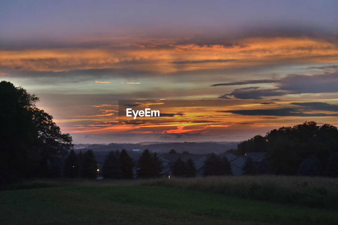 SILHOUETTE TREES ON LANDSCAPE AGAINST SKY DURING SUNSET