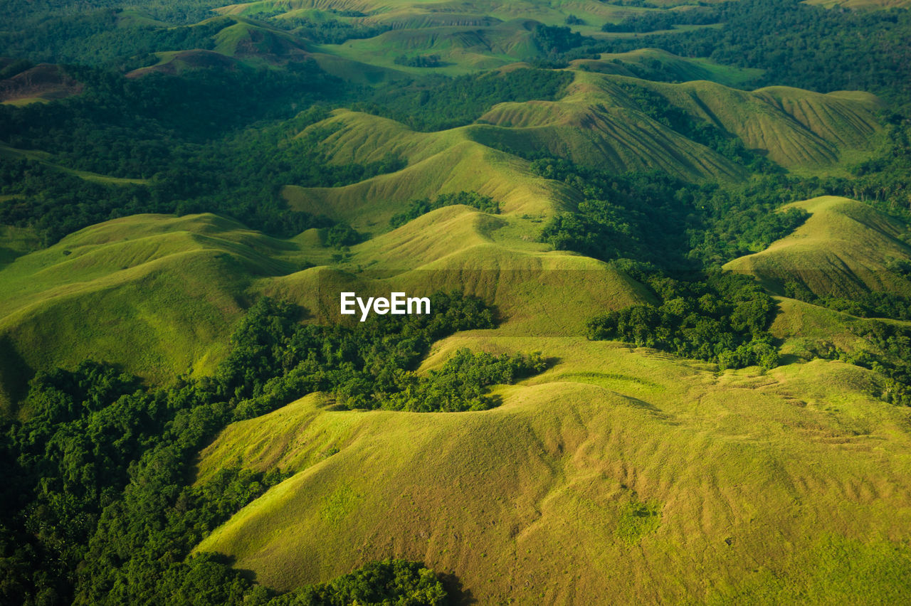 Scenic view of agricultural field