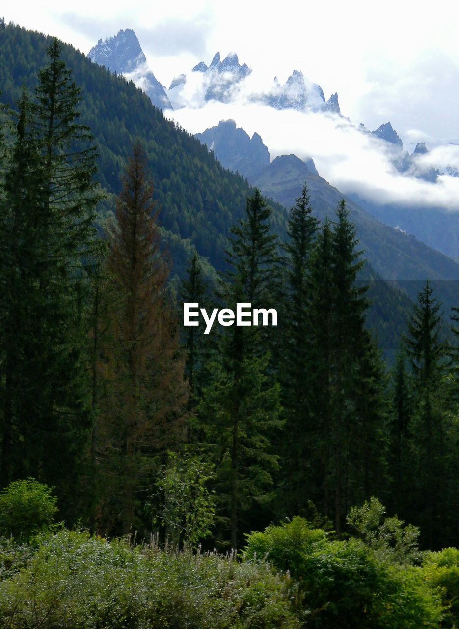 Scenic view of mountains and trees against sky