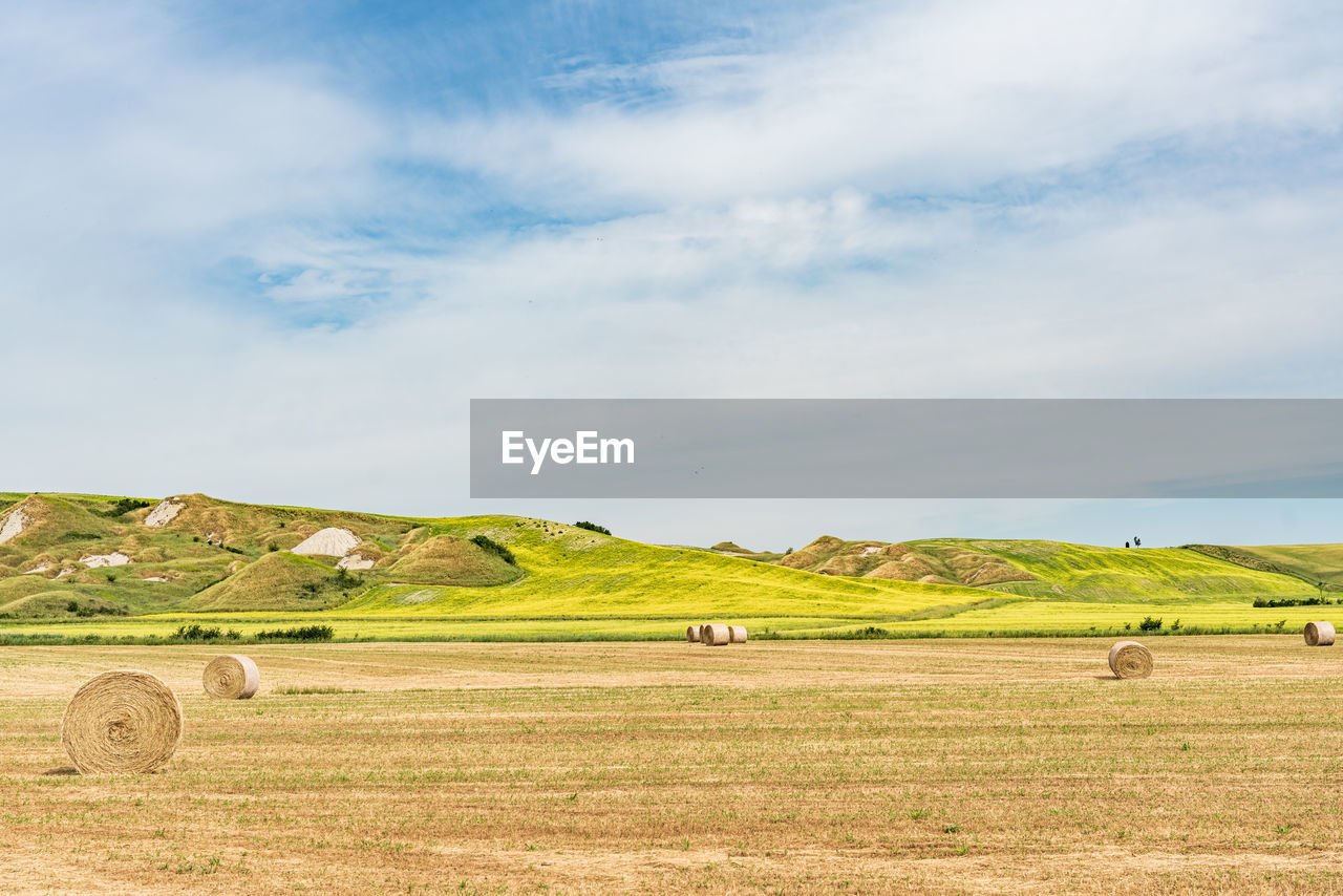 SCENIC VIEW OF FARM AGAINST SKY