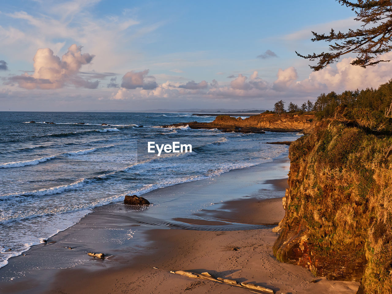 Scenic view of beach against sky