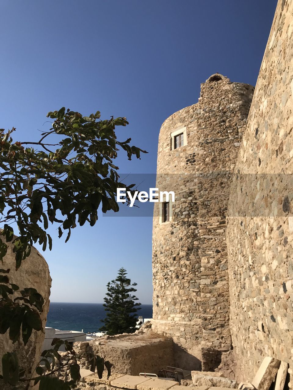 nature, plant, tree, architecture, sky, clear sky, no people, rock, built structure, blue, outdoors, day, low angle view, wall, ancient history, sunny, sunlight, building, travel destinations, travel, land