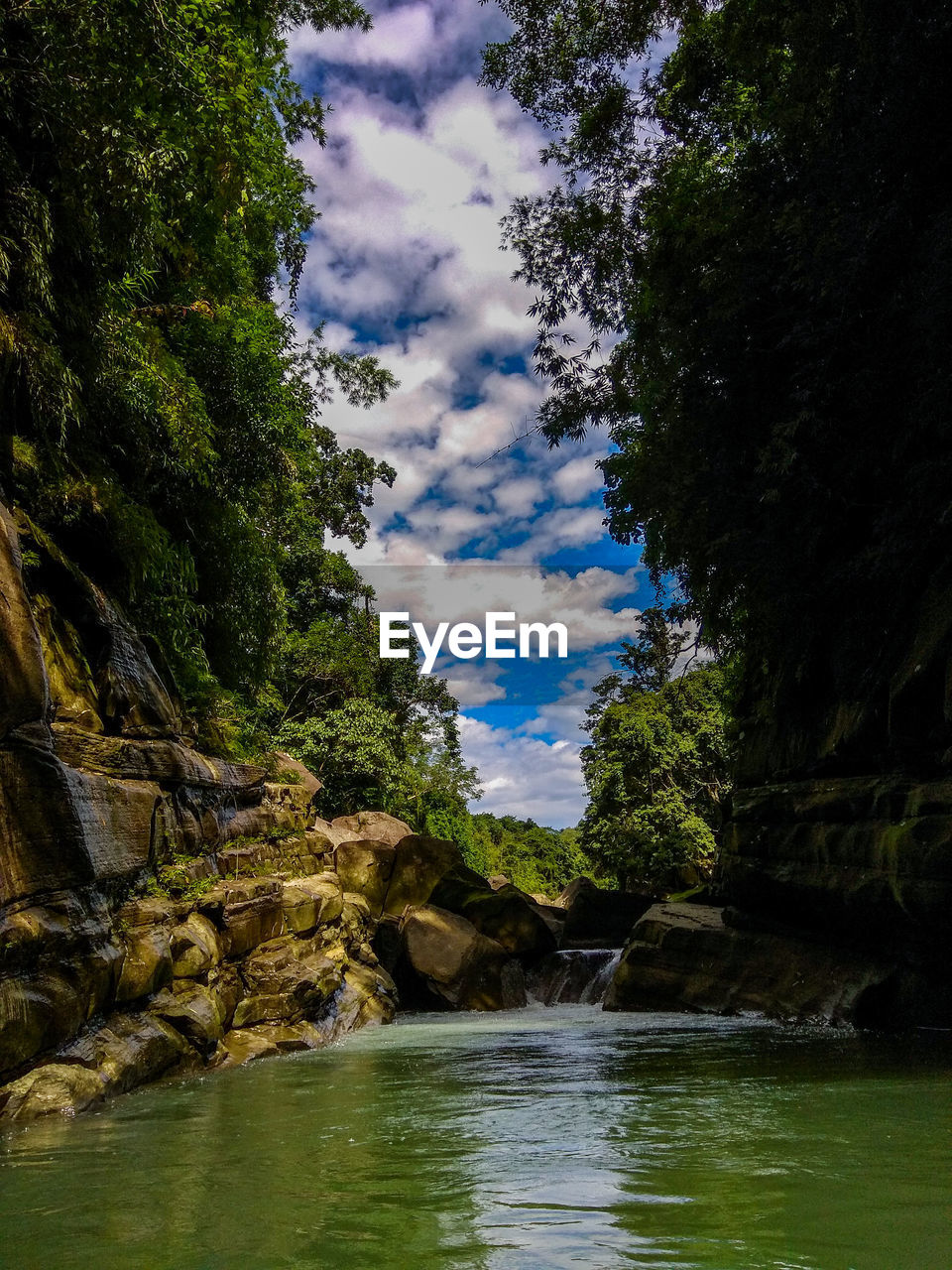River amidst trees in forest against sky