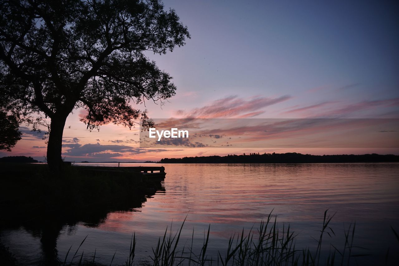 Silhouette tree by lake against sky during sunset