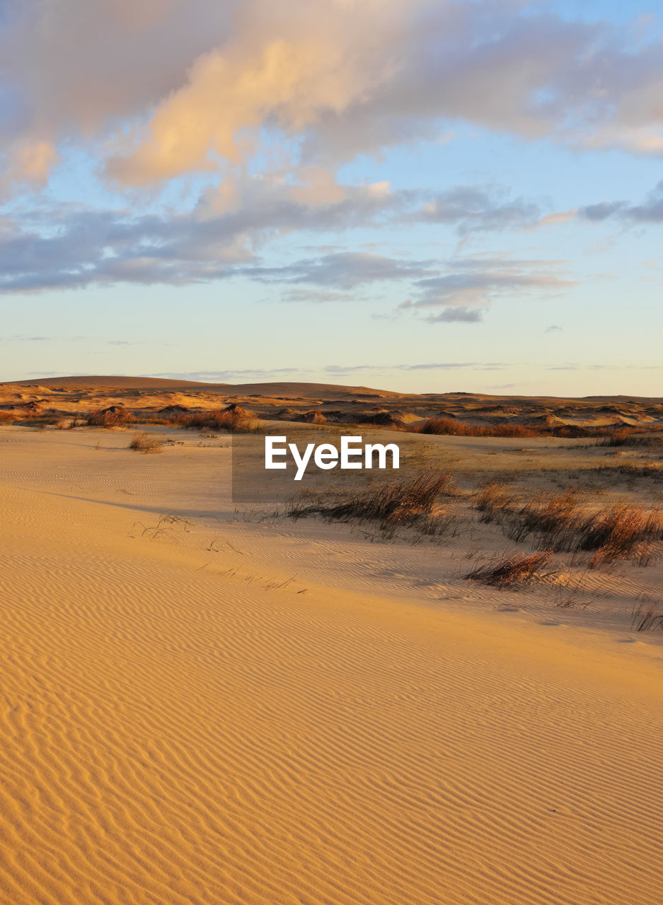 Scenic view of desert against sky during sunset