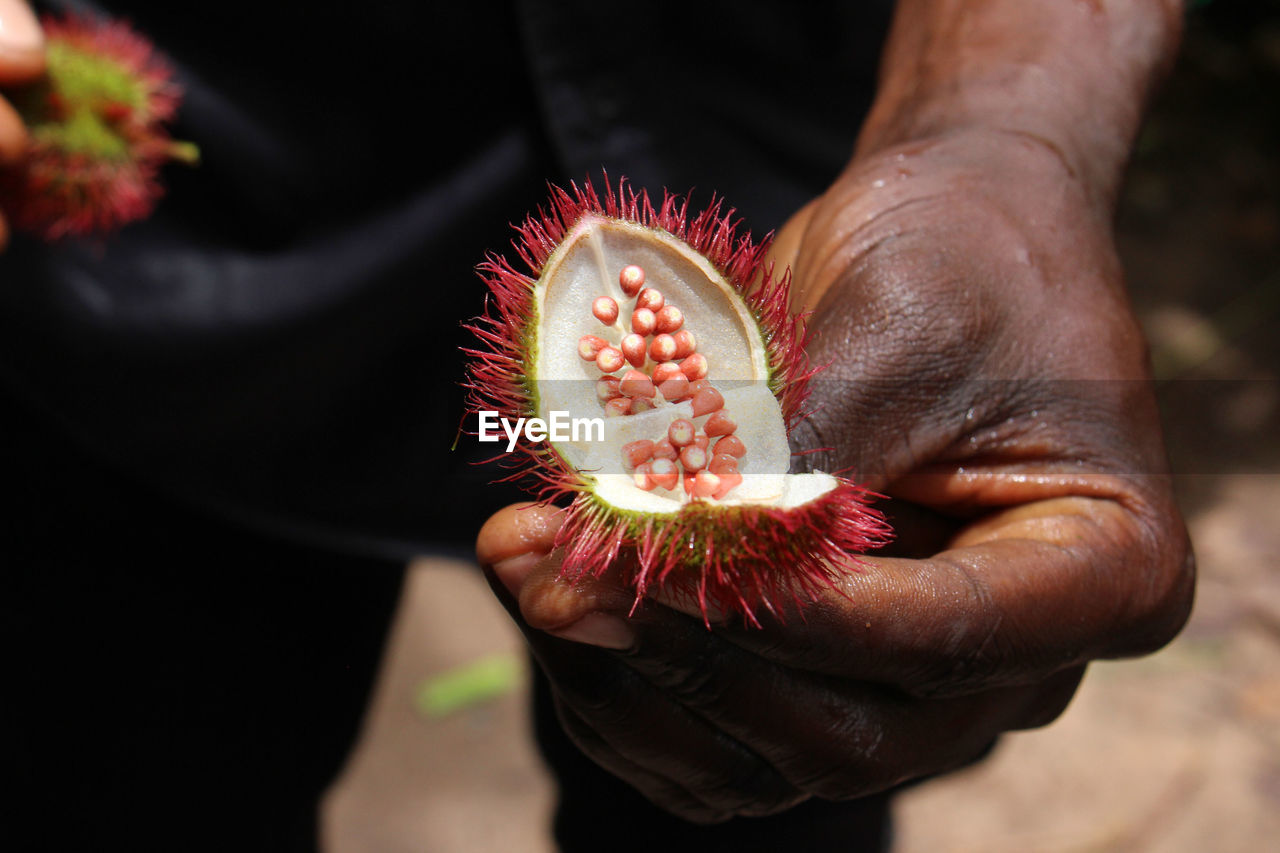 Midsection of man having fruit while standing outdoors