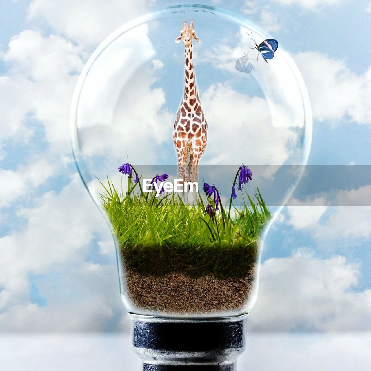 Digital composite image of giraffe on flower plants in electric bulb against sky