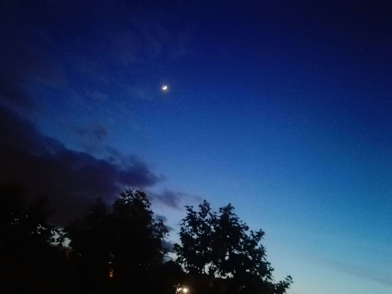 LOW ANGLE VIEW OF SILHOUETTE TREE AGAINST SKY