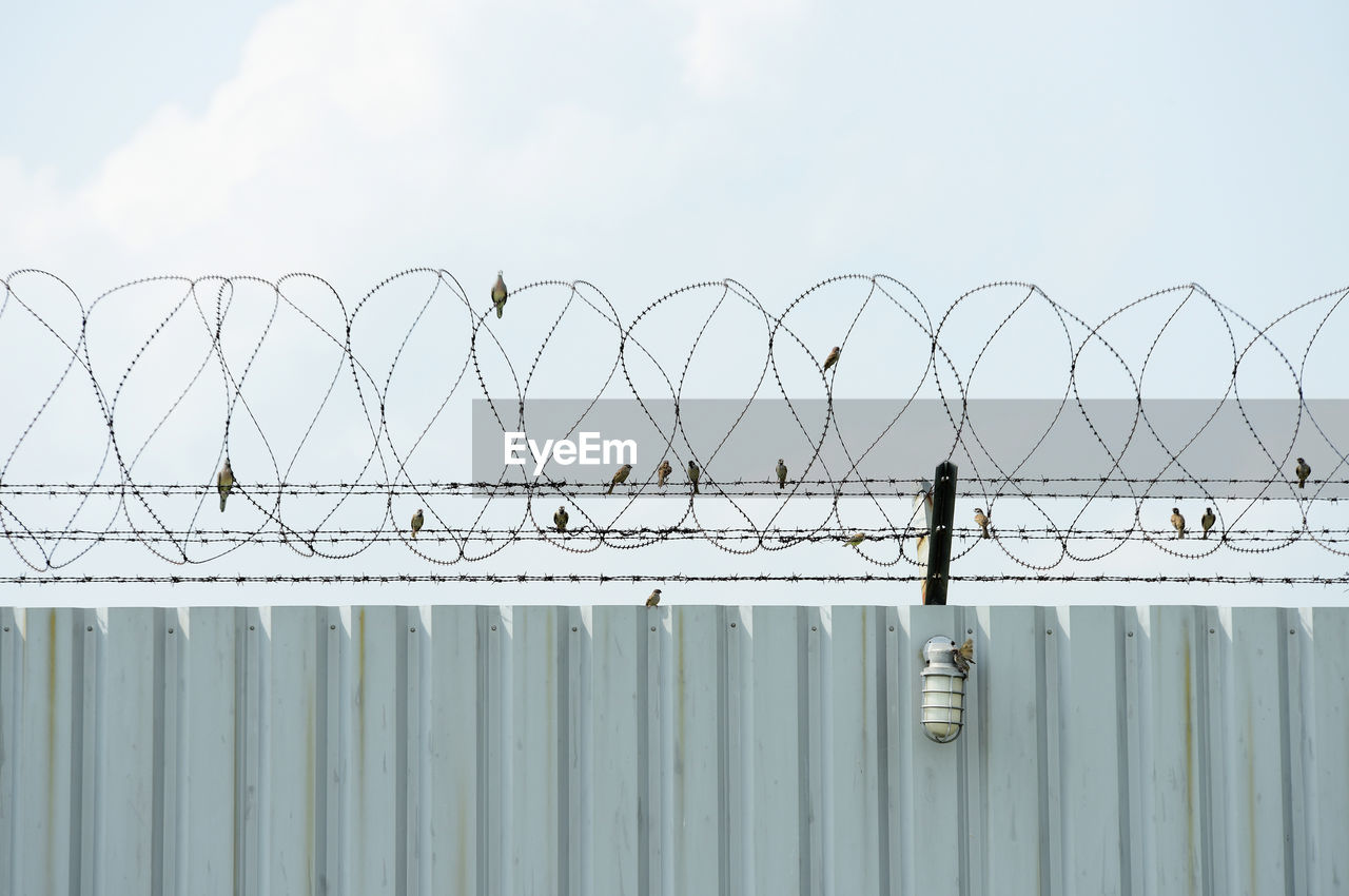 Low angle view of barbed wire fence against sky