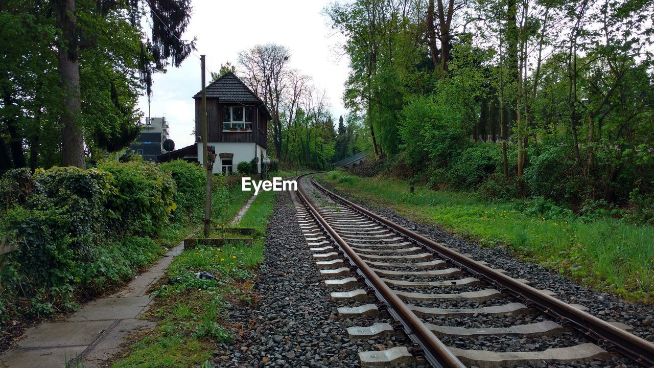 Railroad tracks by trees and plants against sky