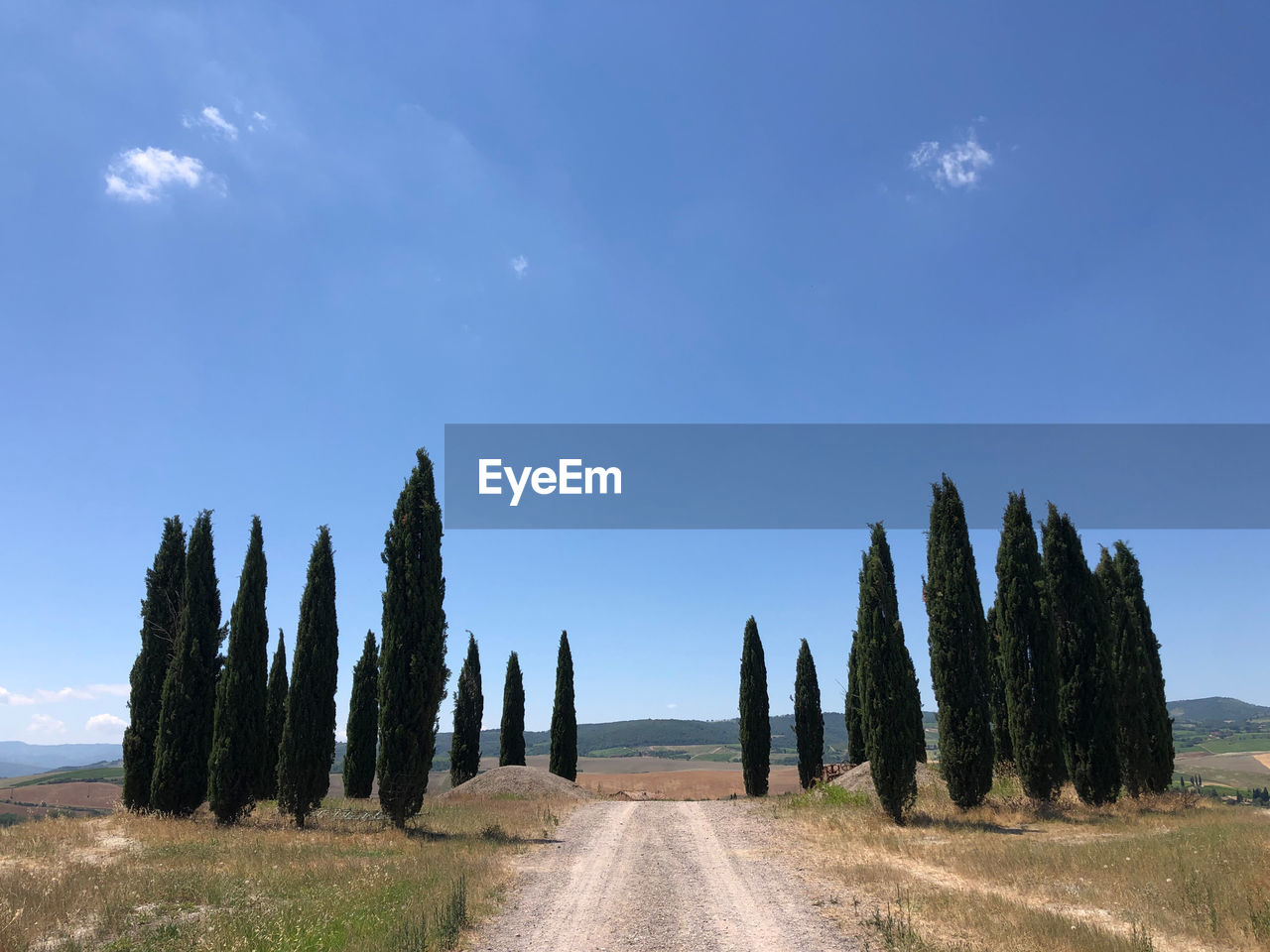 PANORAMIC SHOT OF ROAD AMIDST TREES AGAINST SKY