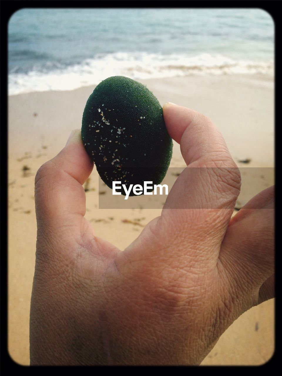 Close-up of hand holding green pebble at beach
