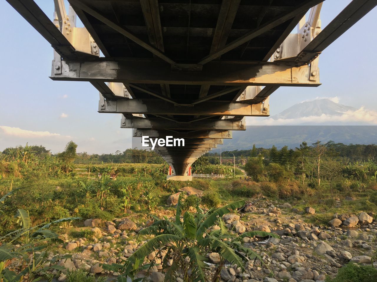 VIEW OF BRIDGE ON FIELD
