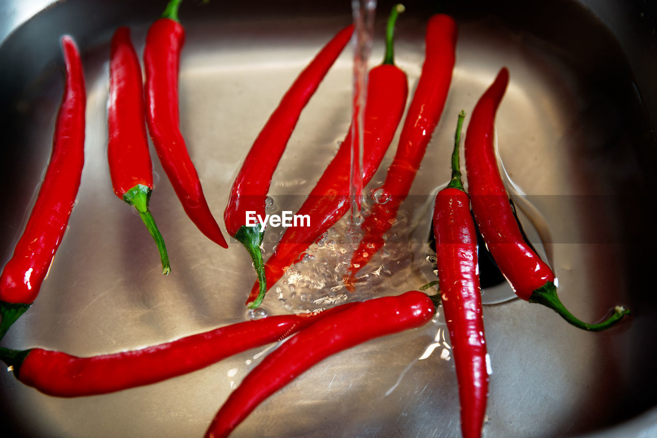 HIGH ANGLE VIEW OF RED CHILI PEPPERS IN CONTAINER