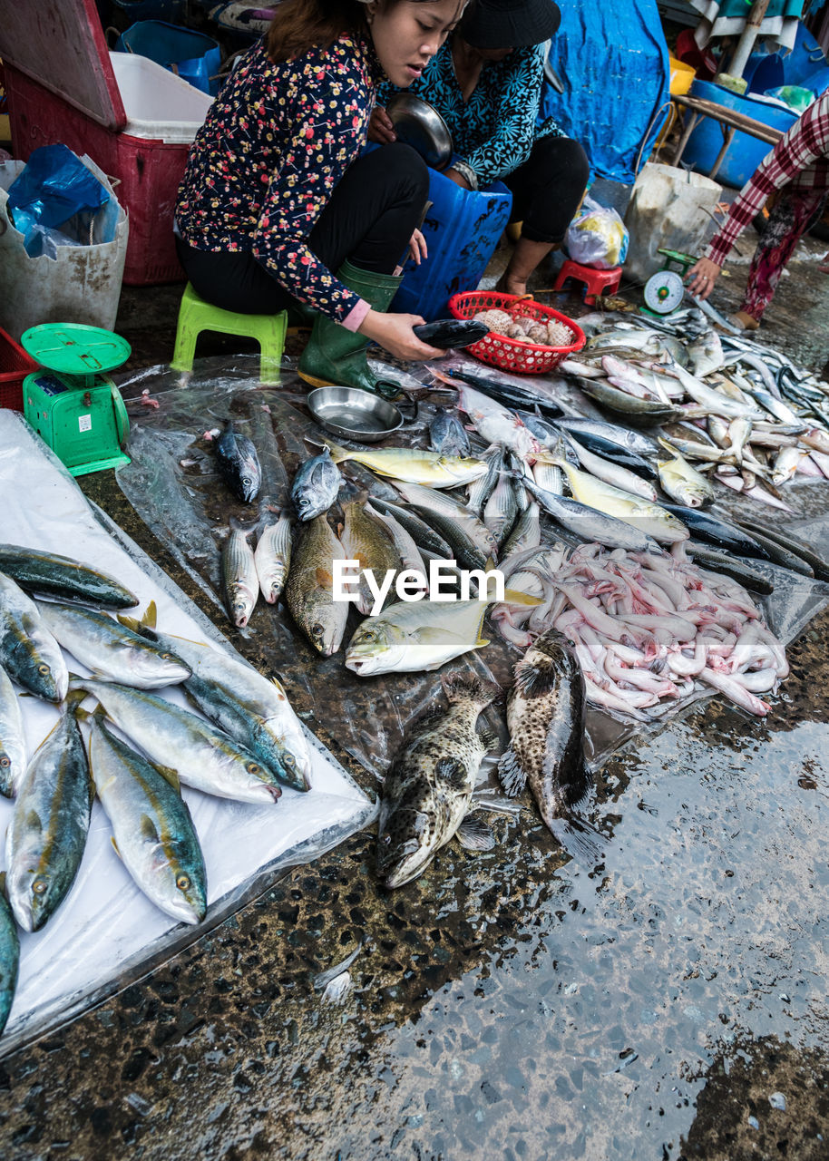 HIGH ANGLE VIEW OF FISH IN MARKET FOR SALE