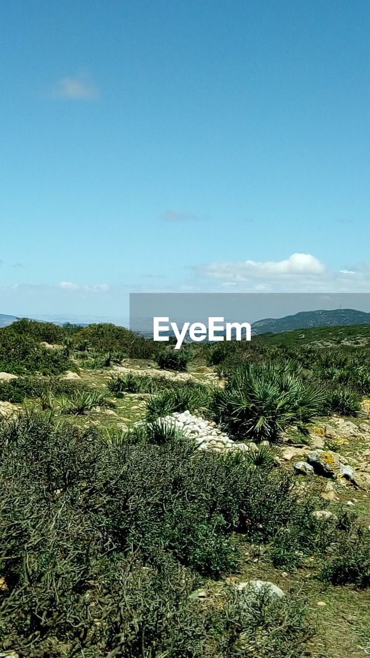 SCENIC VIEW OF LAND AGAINST SKY