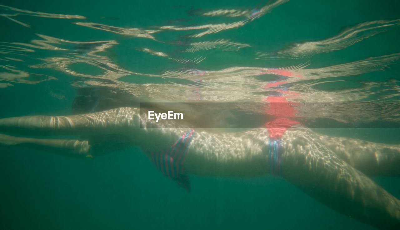 Side view of young woman wearing bikini swimming undersea