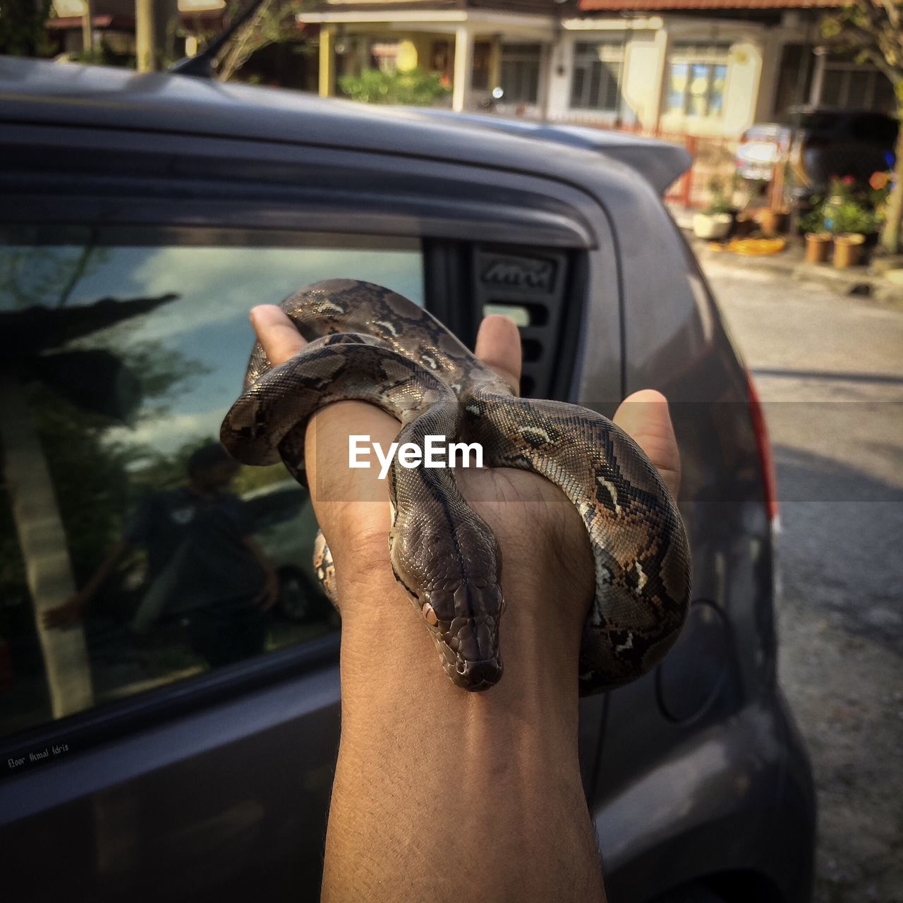 Cropped hand of man holding snake against car