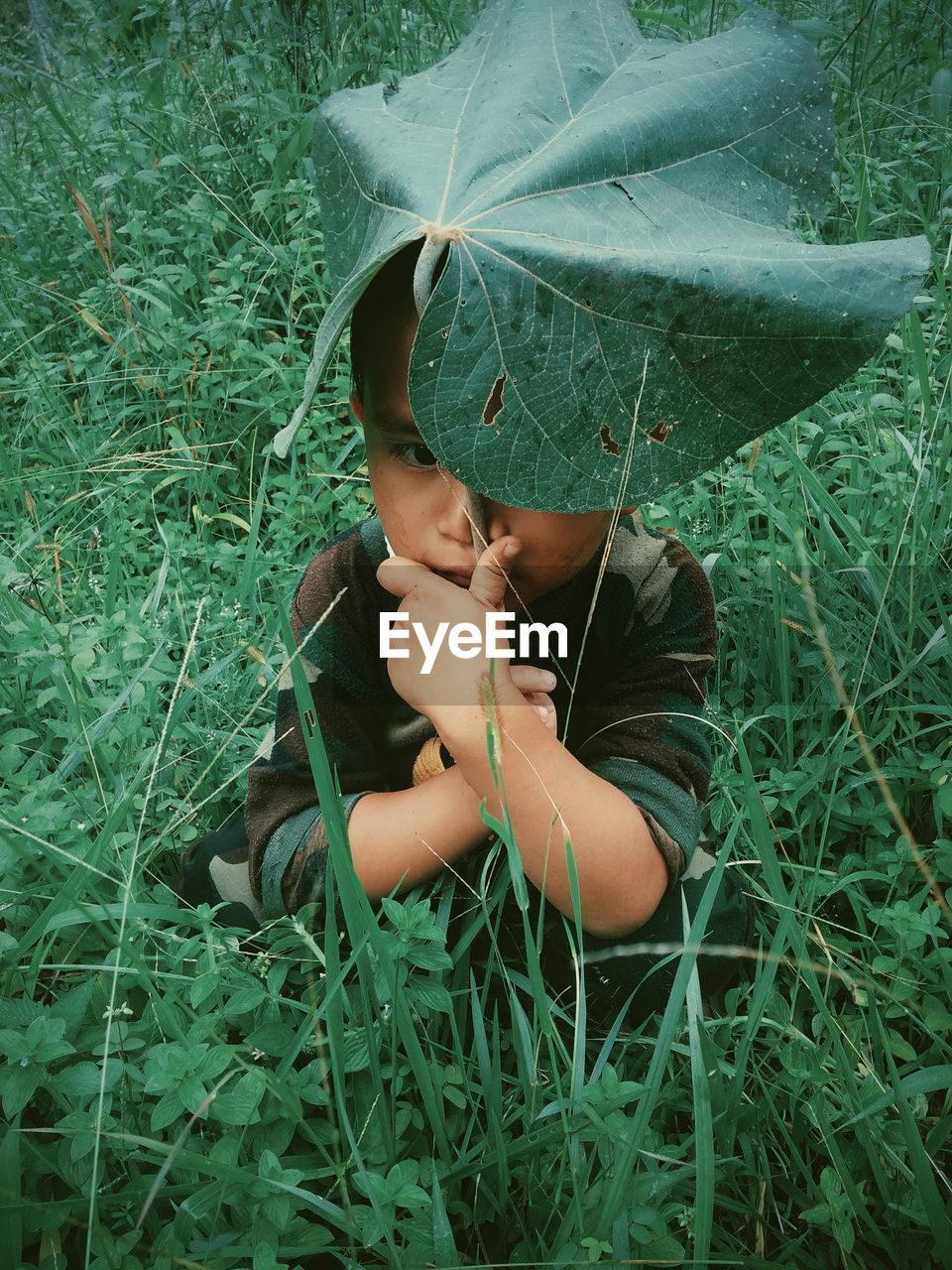 High angle view of boy hiding below leaf