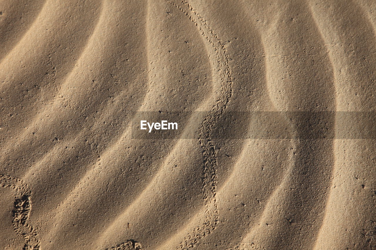 High angle view of sand at sahara desert